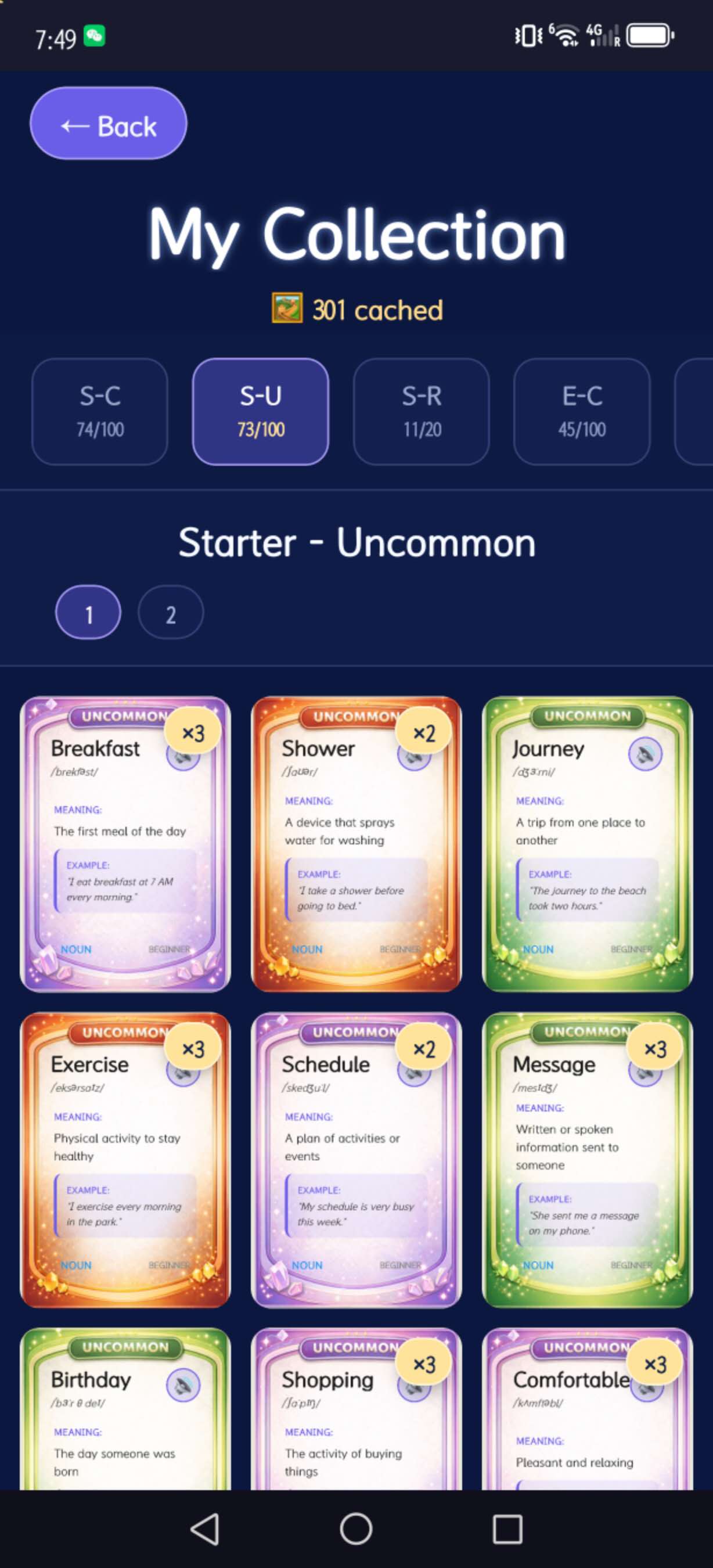 Vocabulary collection book